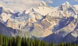 Featured image of post 日记